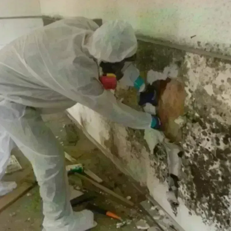 Mold Remediation and Removal in Lockport, NY