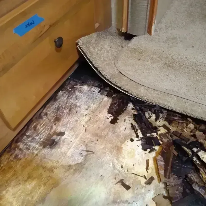 Wood Floor Water Damage in Lockport, NY